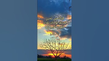 سورة يس الآية ٣٦ الى ٤٠ بصوت الشيخ محمد ايوب