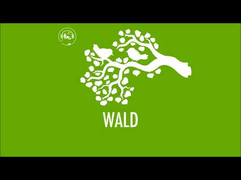 Wald Geräusche zum Einschlafen | 2h White Noise