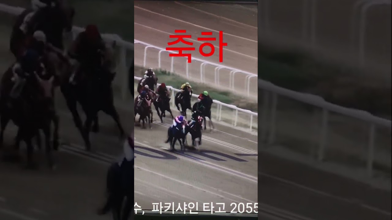 문세영 파캬샤인 타고 2055승
