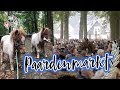 Vlog#23 Pony's redden van de slacht !|| Paardenmarkt Zuidlaren