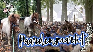 Vlog#23 Pony's redden van de slacht !|| Paardenmarkt Zuidlaren