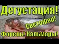 ДЕГУСТАЦИЯ ПРОДУКТОВ ИЗ СВЕТОФОРА! КАЛЬМАРЫ! ФОРЕЛЬ! РИС!