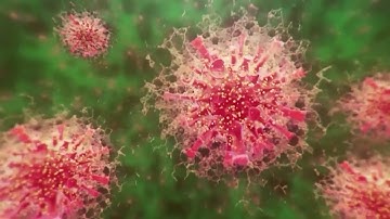 How to get tested for omicron variant