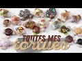 Charm update  all my turtlestoutes mes  tortues 