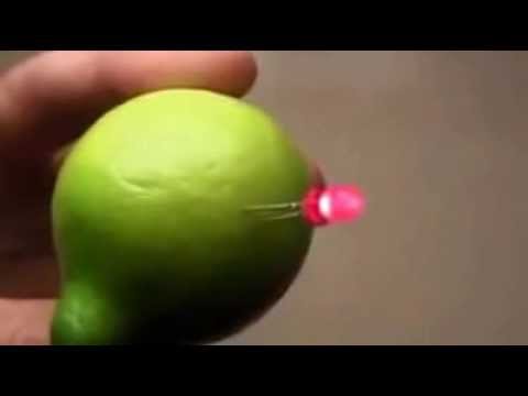 How To Make A Light Bulb Out Of A Lemon 67