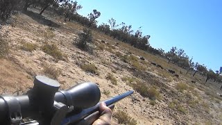 Sth West QLD Channel Country Hunt