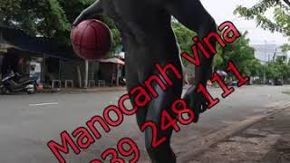 manocanh the thao sport gò vấp    manocanh vina