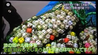 池ポチャボールで稼ぐ