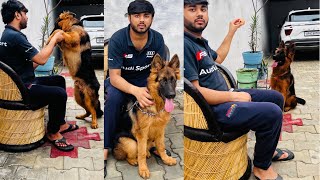 Training my dog& Fun with my  cute long coat german Sehphard puppy 🐶 by Saksham7000(All Rounder) 6,553 views 1 year ago 3 minutes, 2 seconds