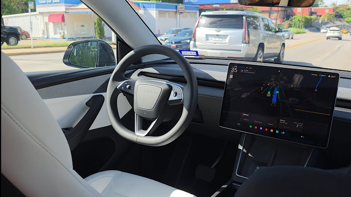 Tesla Robotaxi First Ride Experience
