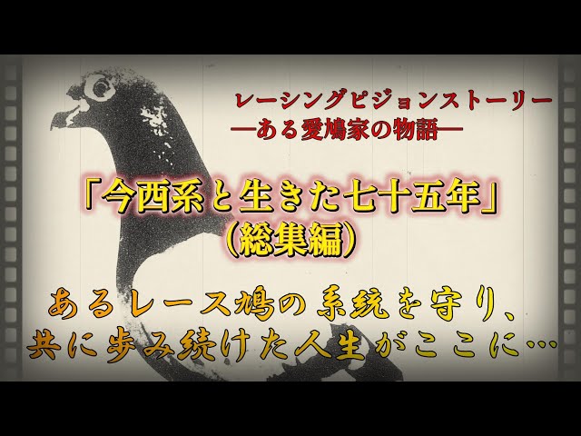 Binge-Watch!] The Racing Pigeon Story: 