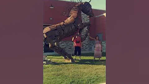 Lora Freeman JROTC Slideshow 1