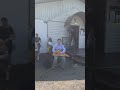 Грядущий царь. Возрождение