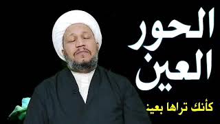 ماهي الحور العين ؟ ومن هم الولدان المخلدون ؟