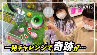 【ミニクレーンゲーム】100円で奇跡が…『目玉グミ』１発チャレンジしたら…！？【#Shorts】