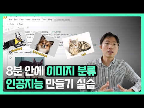 8분 안에 이미지 분류 인공지능 딥러닝 만들기 실습 구현 ResNet ImageNet TensorFlow 텐서플로우 Colab 코랩 머신러닝 파이썬 