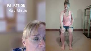 Virtual Knee Examination