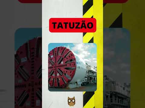 TATUZÃO: Entenda o