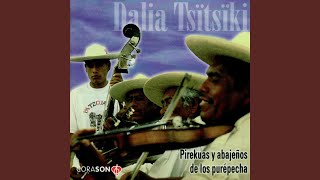 Video thumbnail of "Trio Los Chapás - Male Chabelita"