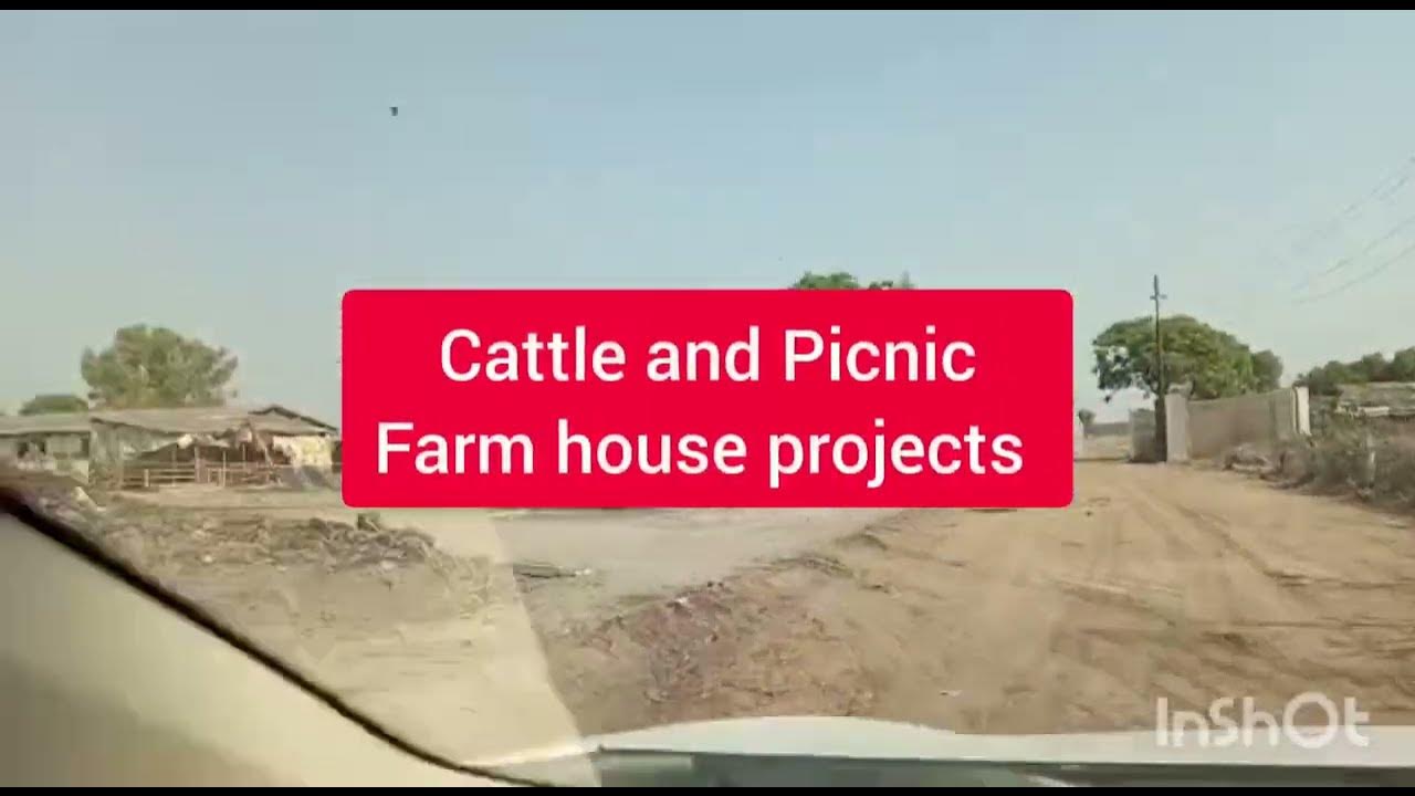 Cattle and Picnic Farm house for sell in Gadap Town Karachi YouTube