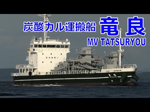 炭酸カルシウム運搬船 竜良 - MV TATSURYOU - 2023OCT - Shipspotting Japan @JG2AS