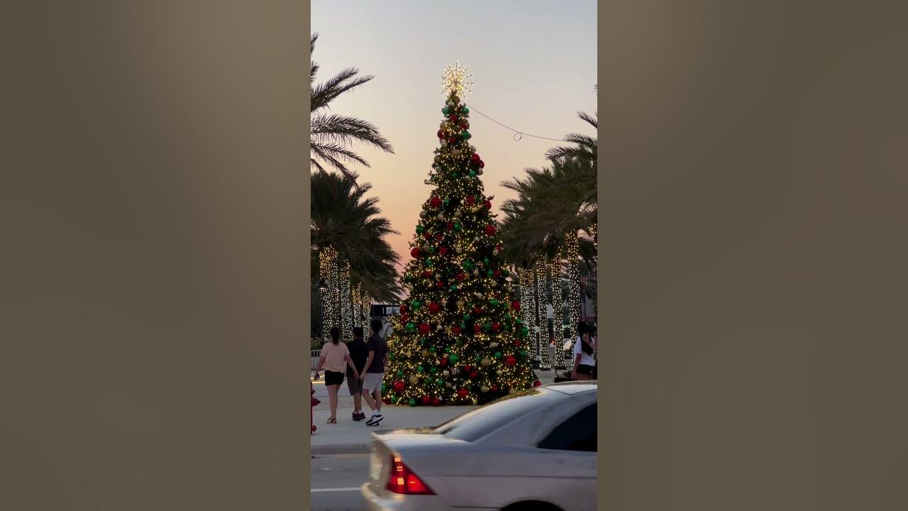 Christmas Tree in Fort Lauderdale (2022) Las Olas Oceanside Park, Florida, USA 🇺🇸 ️ YouTube