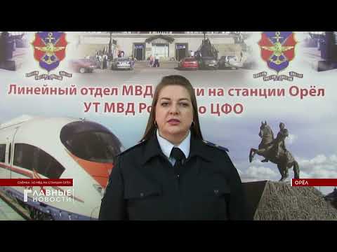 Транспортные полицейские станции Орёл обезвредили наркосбытчика.