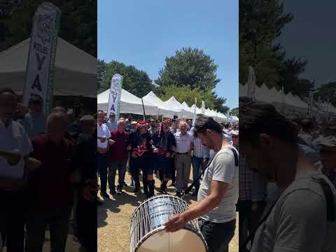 Coşkulu Düğün alayı