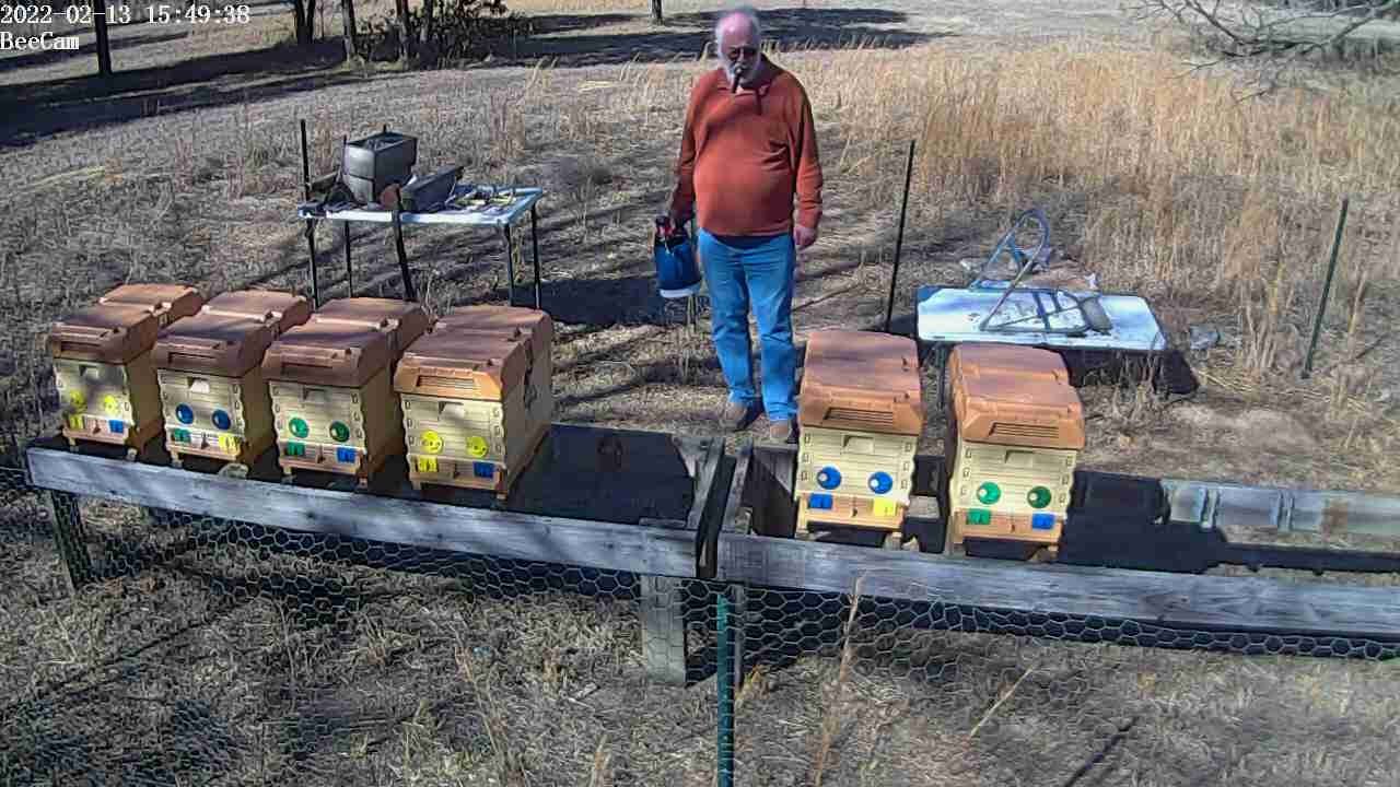 Metropolis of Propolis II - Episode 23 - New High Tech Connected Bee Yard!