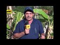 Mal de  Panamá y su control en banano