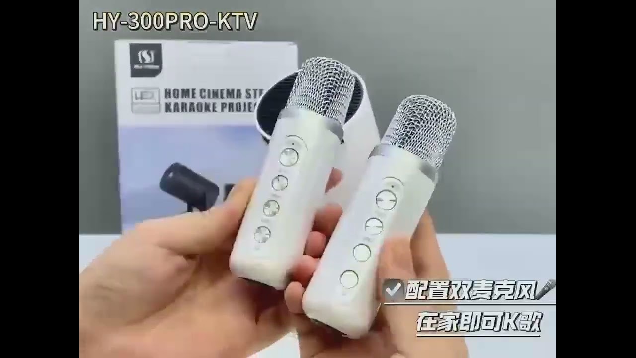 HY300 PRO KTV SPEAKER