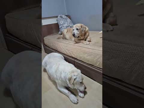 #라이브ㆍ실방참여부탁드려요👍👸🙏💕✨️