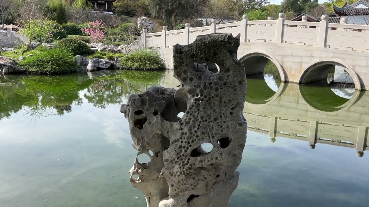 The Japanese and Chinese Gardens at The Huntington Library and Gardens