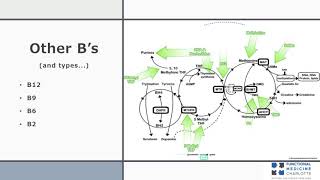 B vitamins - understanding the different forms and their role in Methylation