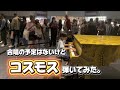 合唱曲コスモスを都庁のストリートピアノで弾いてみたら