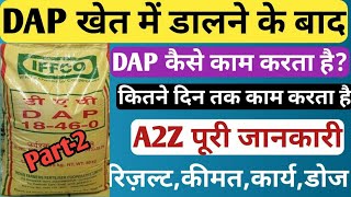 Dap खेत में कैसे काम करता है और कितने दिन तक करता है। Dap khad । DAP fertilizer । Best Fertilizer