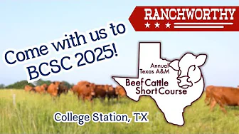 Episode 6 | You Won't Believe What Happens Inside the Worlds Largest Beef Cattle Event!