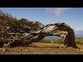 El Hierro - Ein persönlicher Reisebericht