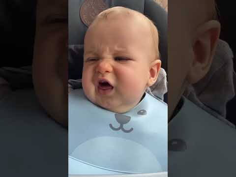 نانن ددددددد