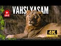 Dmx vahi yaam aslanlartrke aslan belgeseli