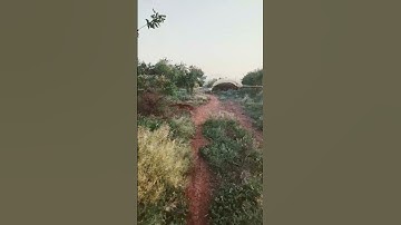 #القرآن_الكريم #الجزائر #تلاوة #المغرب #السعودية #quran #القرآن #محمد_الفقيه #اكسبلور #النظافه