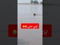 Chanab River flood #2025flood #flood #floodnews #silab #daryechanab #vlog