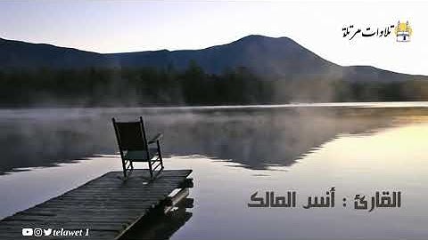 وآخرون اعترفوا بذنوبهم خلطوا عملا صالحا وآخر سيئا || تلاوة خاشعة للقارئ أنس المالك