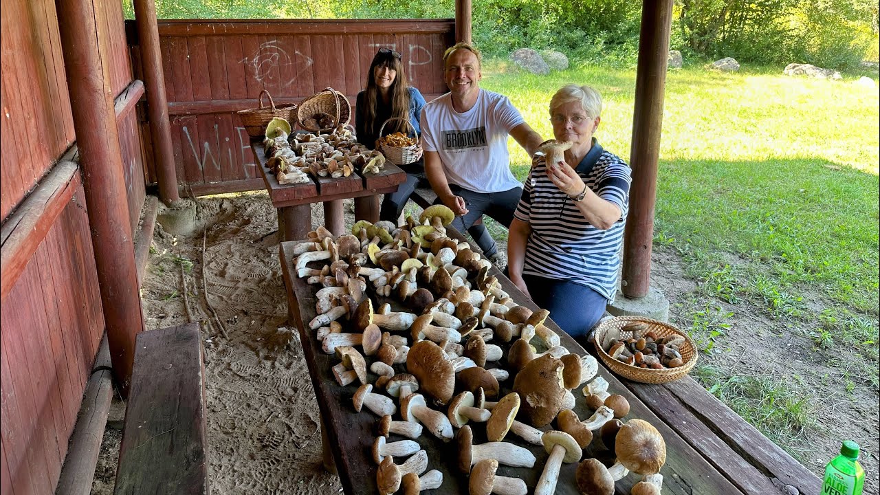 Cudowne Podlasie i cudowni grzybowi przyjaciele. Super kosze z pięknymi borowikami. Grzyby 2025