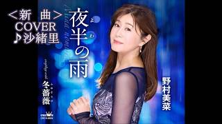 野村美菜 - 夜半の雨