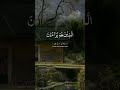 Tilawat Quran Pak Video No 399 #beatifulquranvideo #beatifulquranrecetion#tilawatquran #quran#buyan