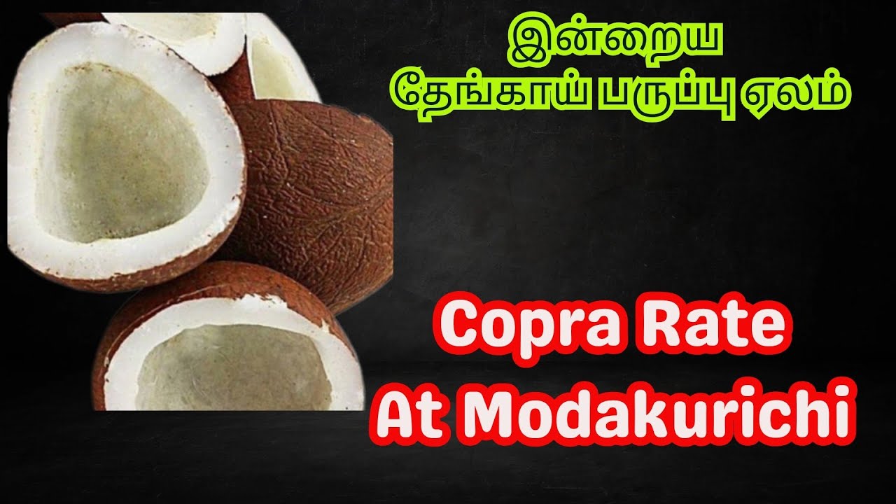 Modakurichi தற்போது நடந்து ஏலத்தில் கொப்பரை விற்பனை ஆன விலை | Modakurichi Copra ...