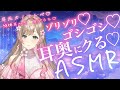 【ゴシゴシ耳かきASMR】しばらく配信できないから、お耳ブラシで5454したりするね♡/ゴシゴシ/綿棒耳かき/ズポズポ/吐息/癒し/ささやき/earcleaning/安眠/耳語/耳朵清潔/귀걸이