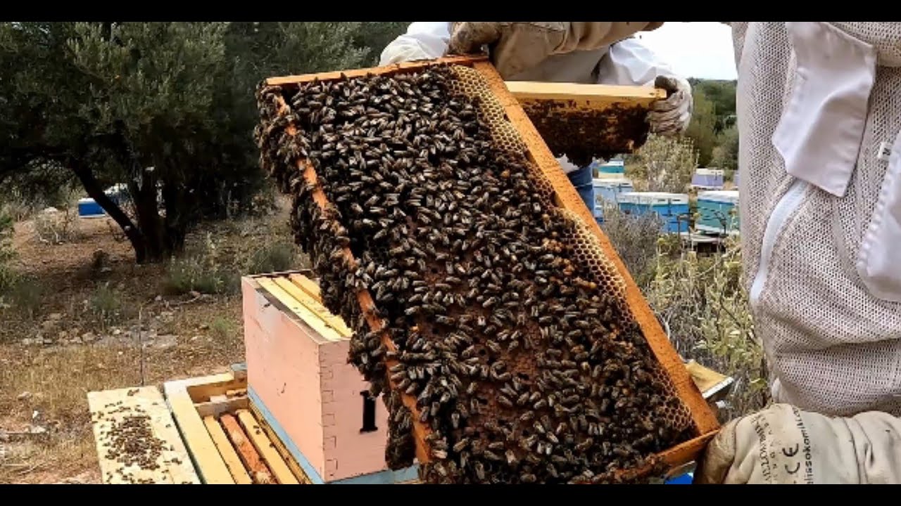 Μάνα δεν είναι μόνο μία - Επεισόδιο 2