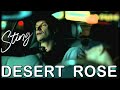 Sting - Desert Rose